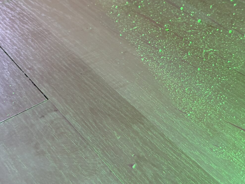 bissell crosswave dust web