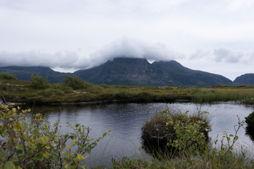 Fujifilm X-E5_Reala Ace