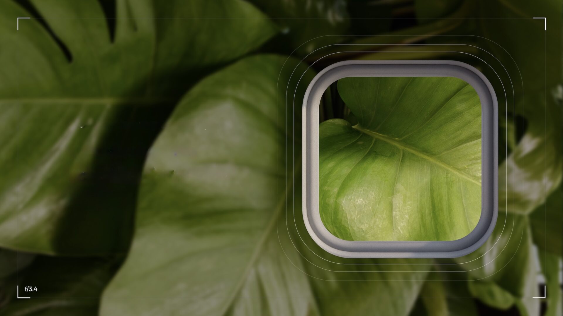 Oneplus opgiver Hasselblad-teknologi i kameraet