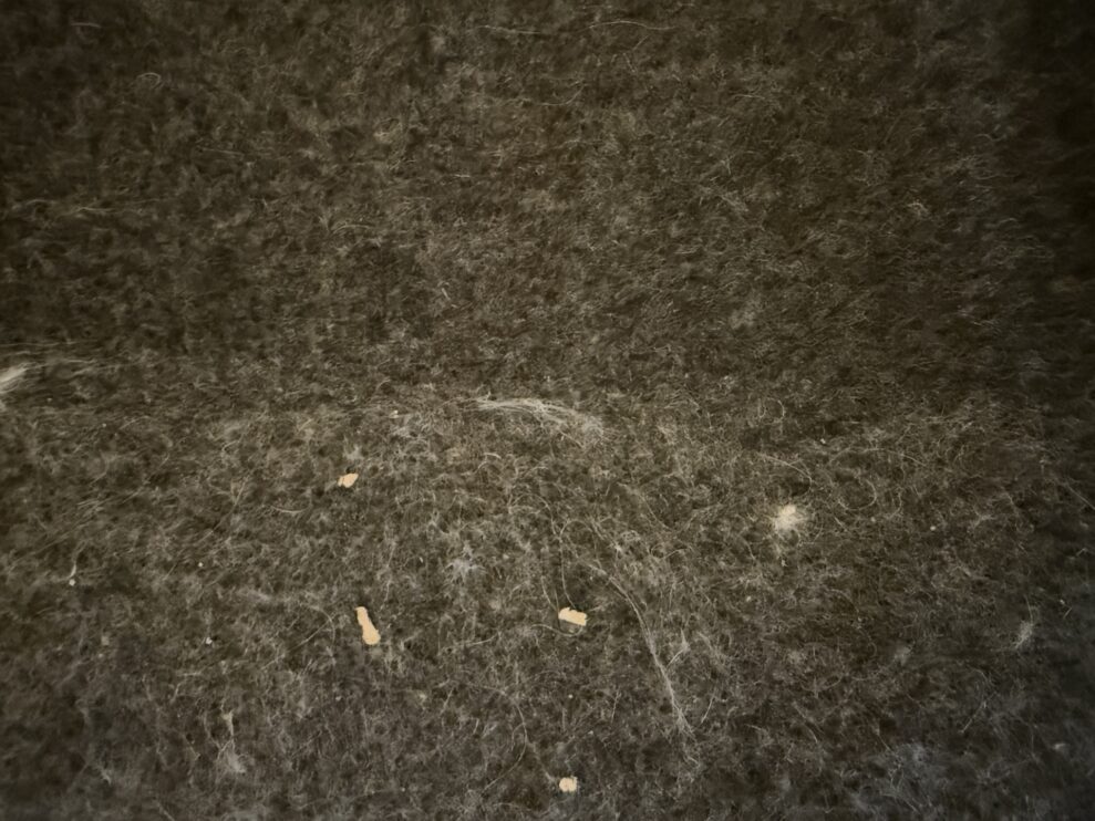 Bespoke-AI-Jet-Ultra-hair-web