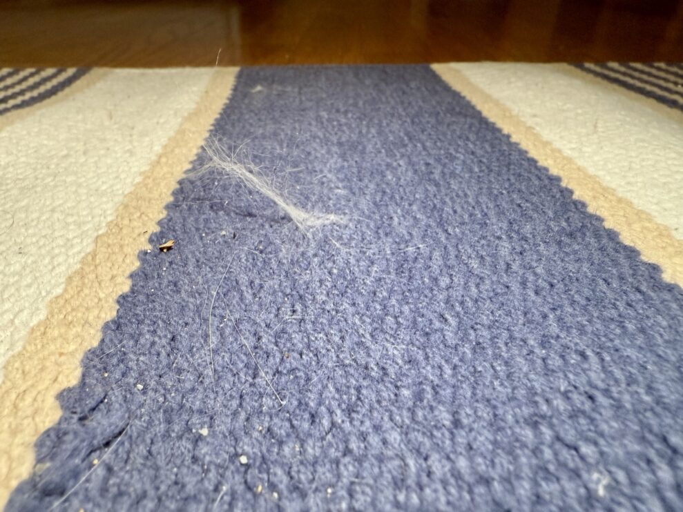 Dyson-Piston-rug-web