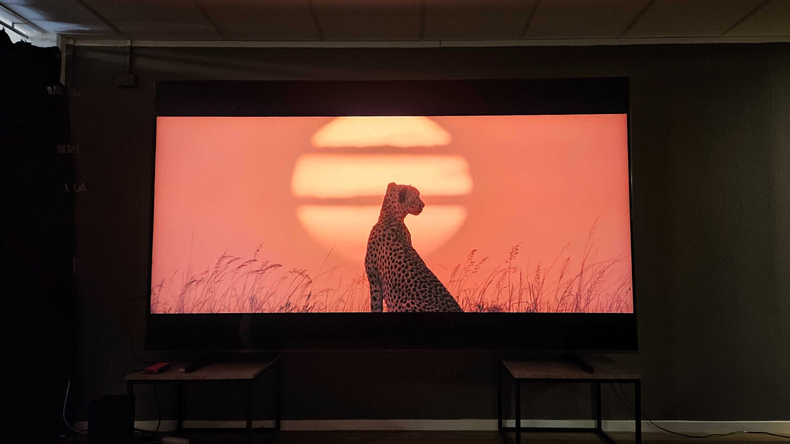 Hisense 116UXQ Universet scaled