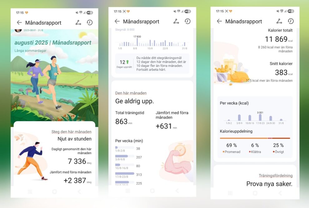 Huawei-GT-6-Pro-Manadsrapport