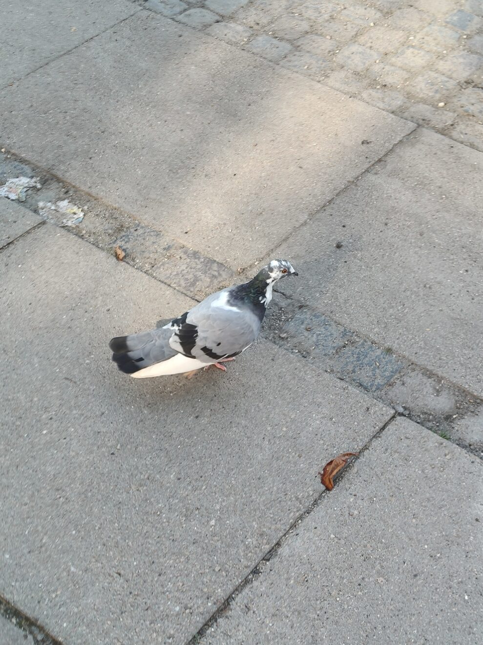 oplus_2097184 oplus_2097184