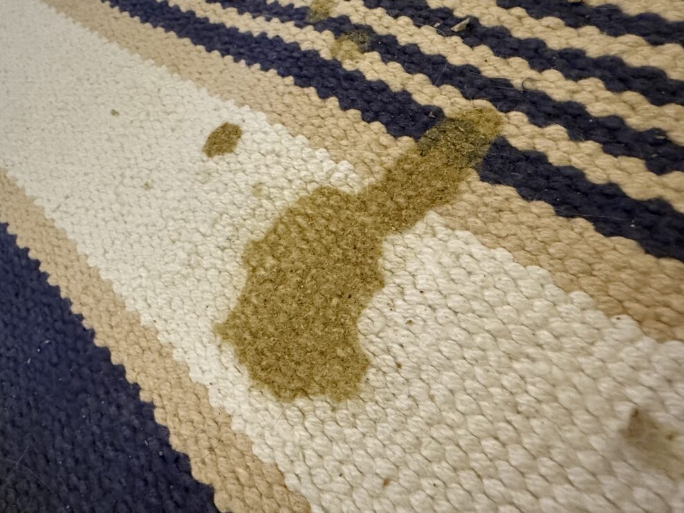 SpotClean-HydroSteam-rug-before-web