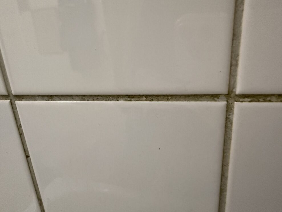 SpotClean-HydroSteam-tiles-before-web-scaled