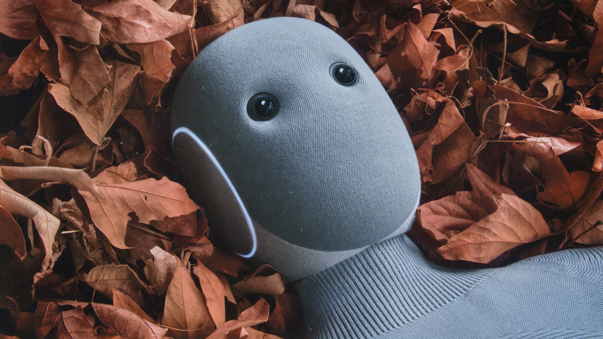 1X NEO husholdningsrobot: Koster som en bil og kræver menneskelig oplæring 3 1X Neo dreaming