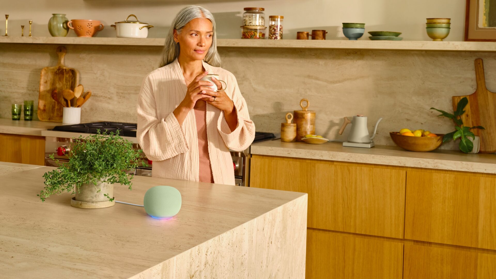 Farvel Google Assistant – hey Gemini for Home