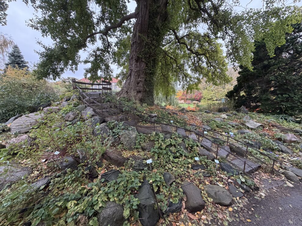 iPhone_17_01 iPhone_17_01