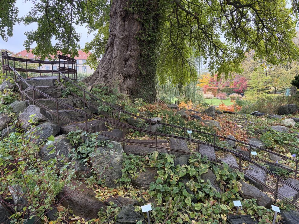 iPhone_17_02 iPhone_17_02