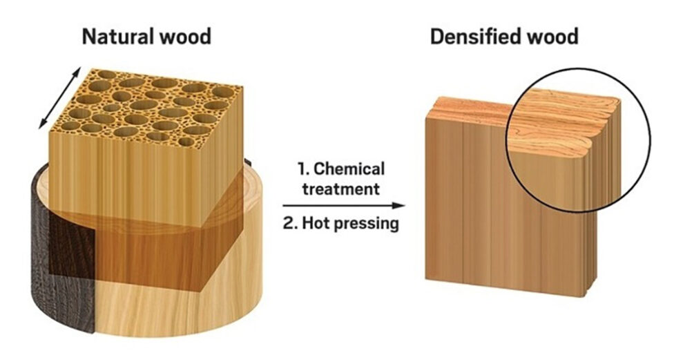 Superwood er træ der er stærkere end stål 1 super wood