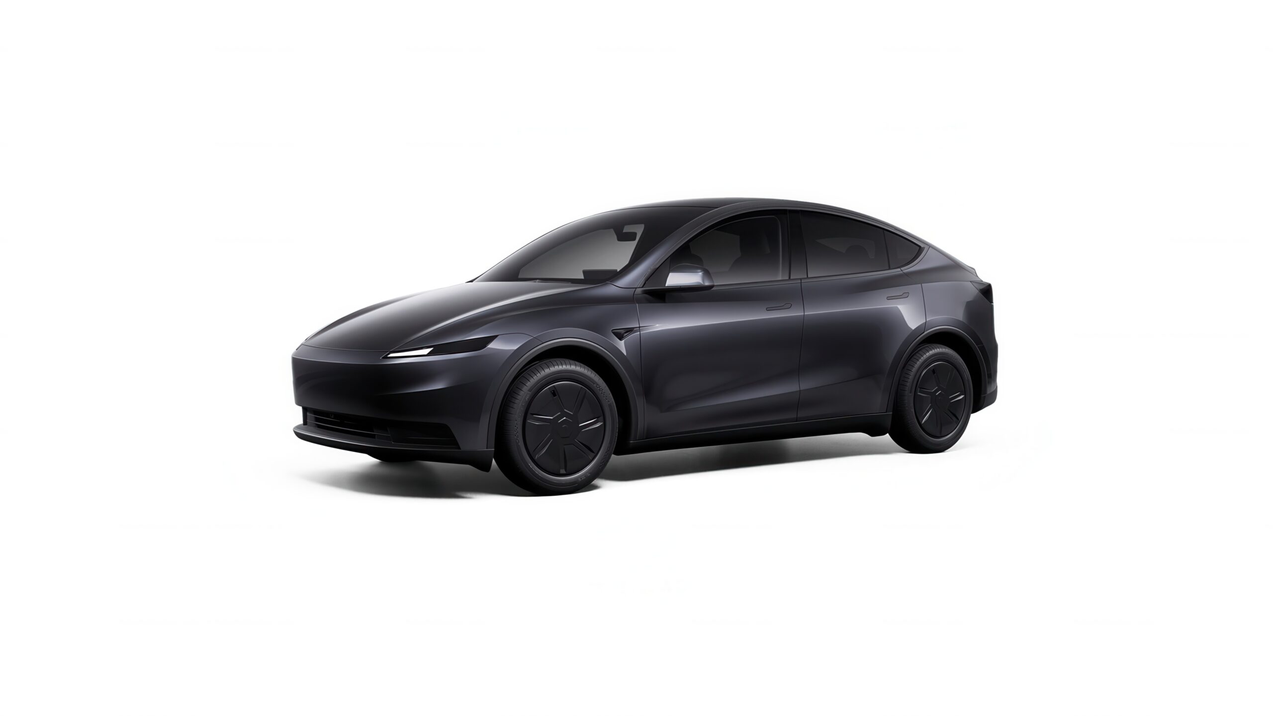 tesla model y standard