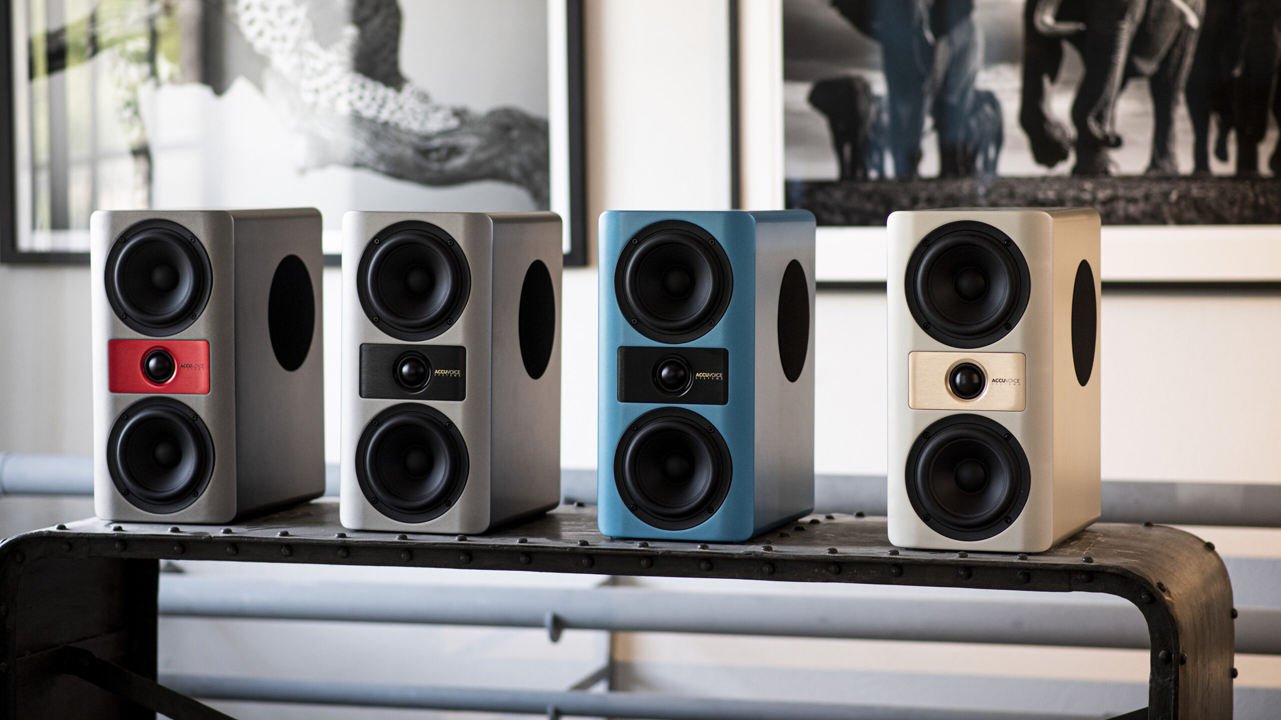 Accuvoice Stream S3_Family_1