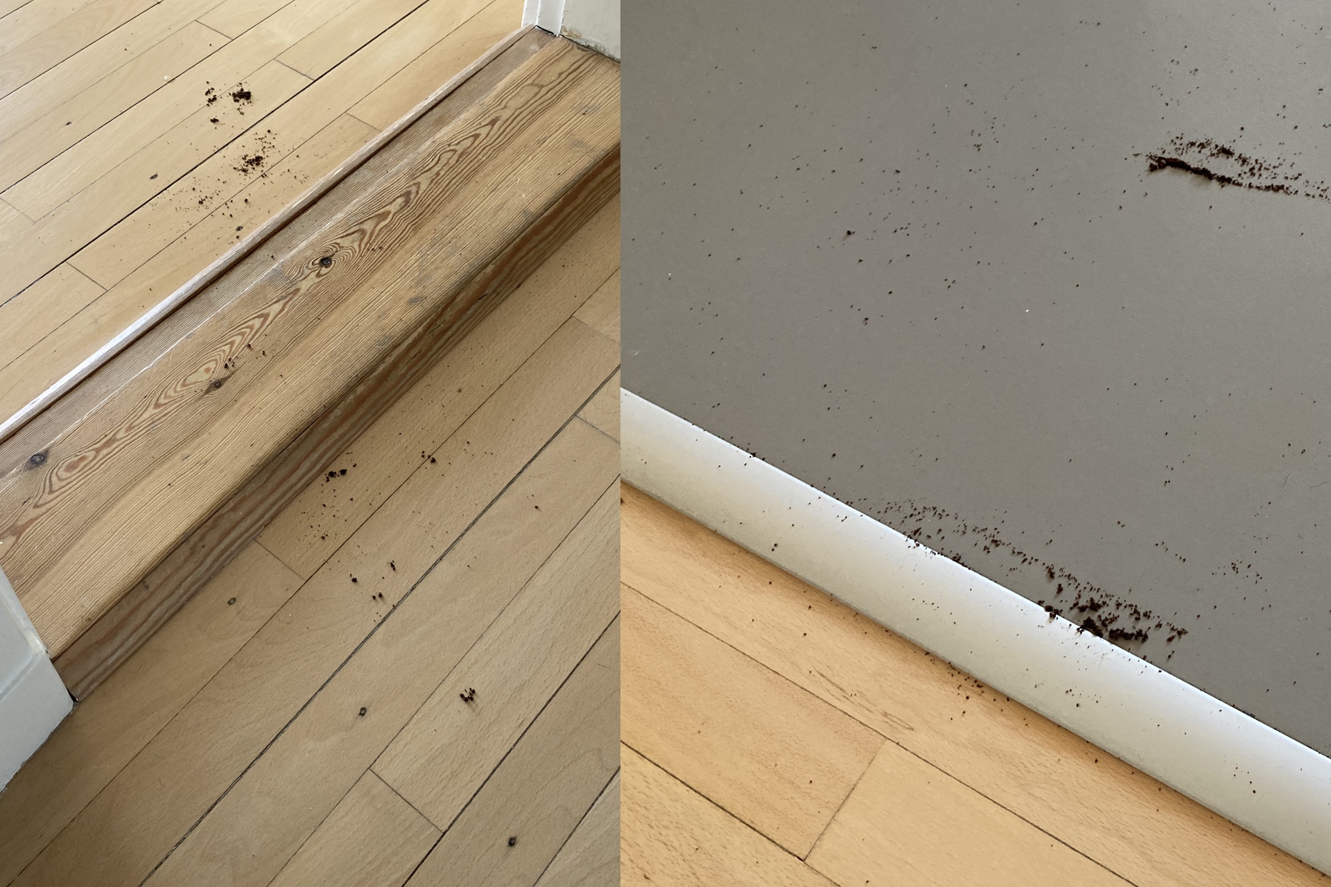 DJI ROMO P 10 DJI RomoP coffeegrind lost