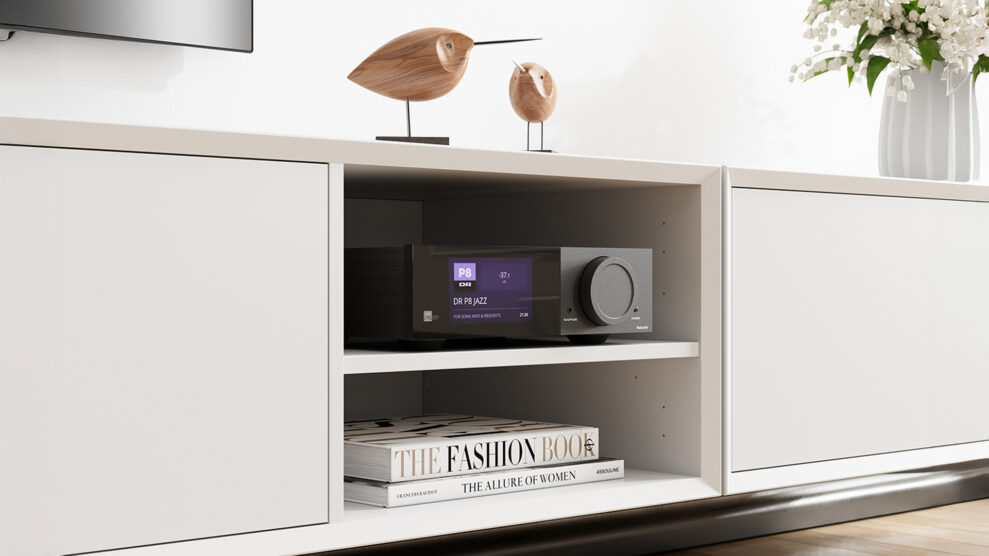 Environment TDAI 2210 Black and White Living A CloseUp 2 Display DR P8 Jazz With Birds small