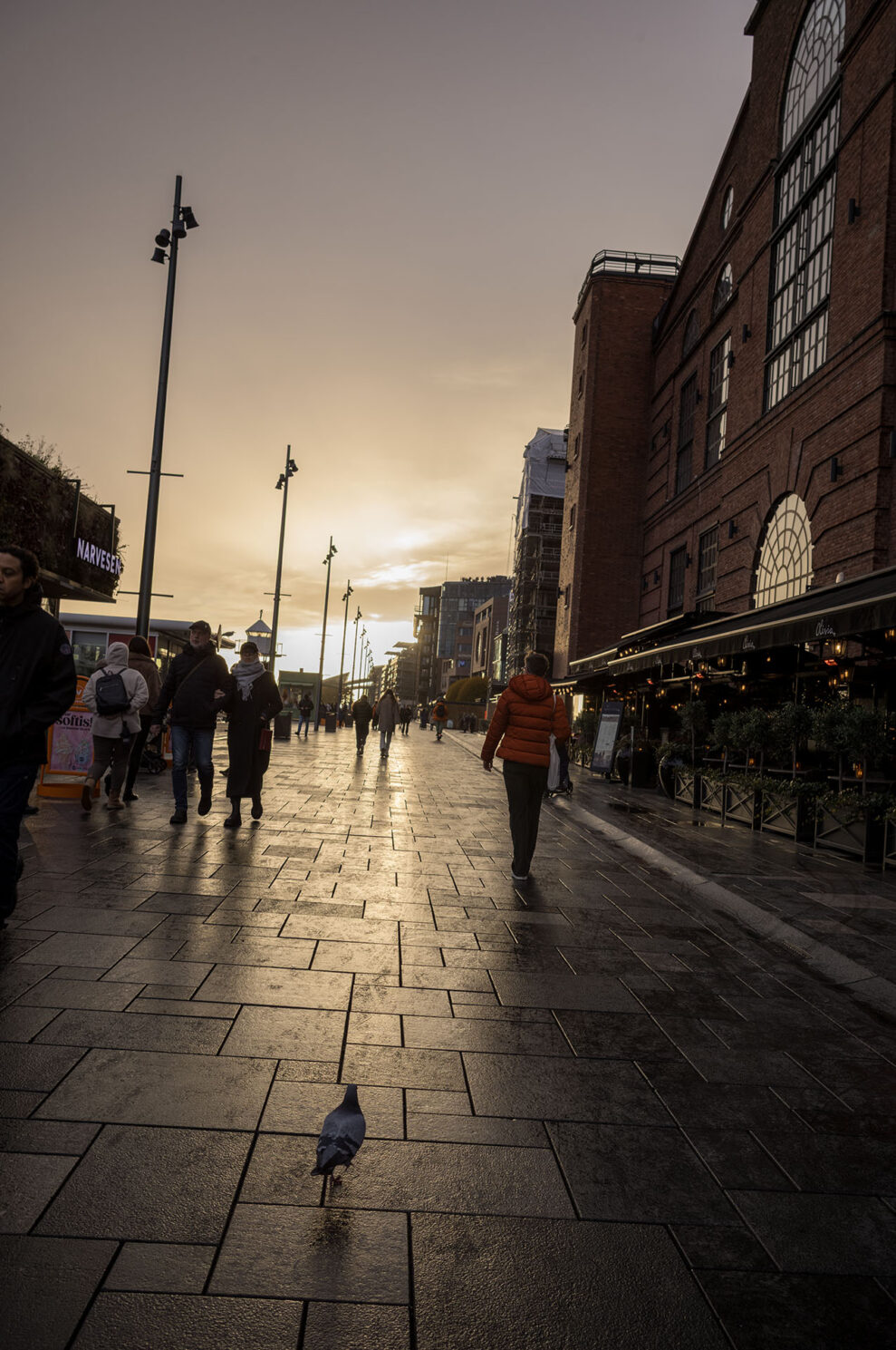 Leica-M-EV1_sample_3 Leica-M-EV1_sample_3