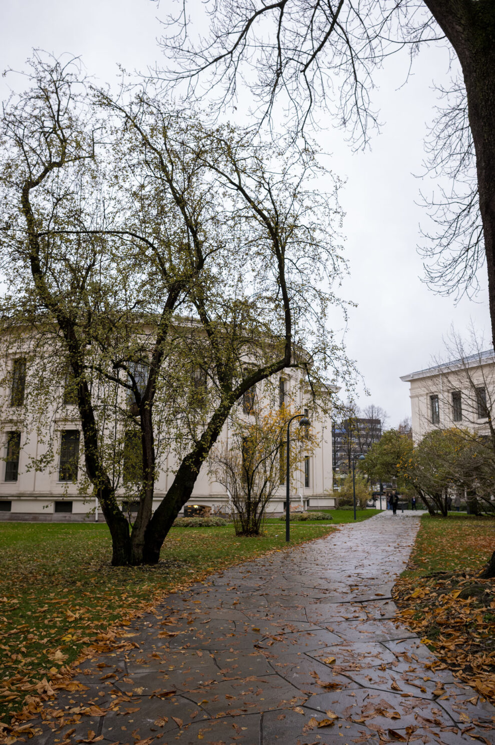 Leica-M-EV1_sample_5 Leica-M-EV1_sample_5