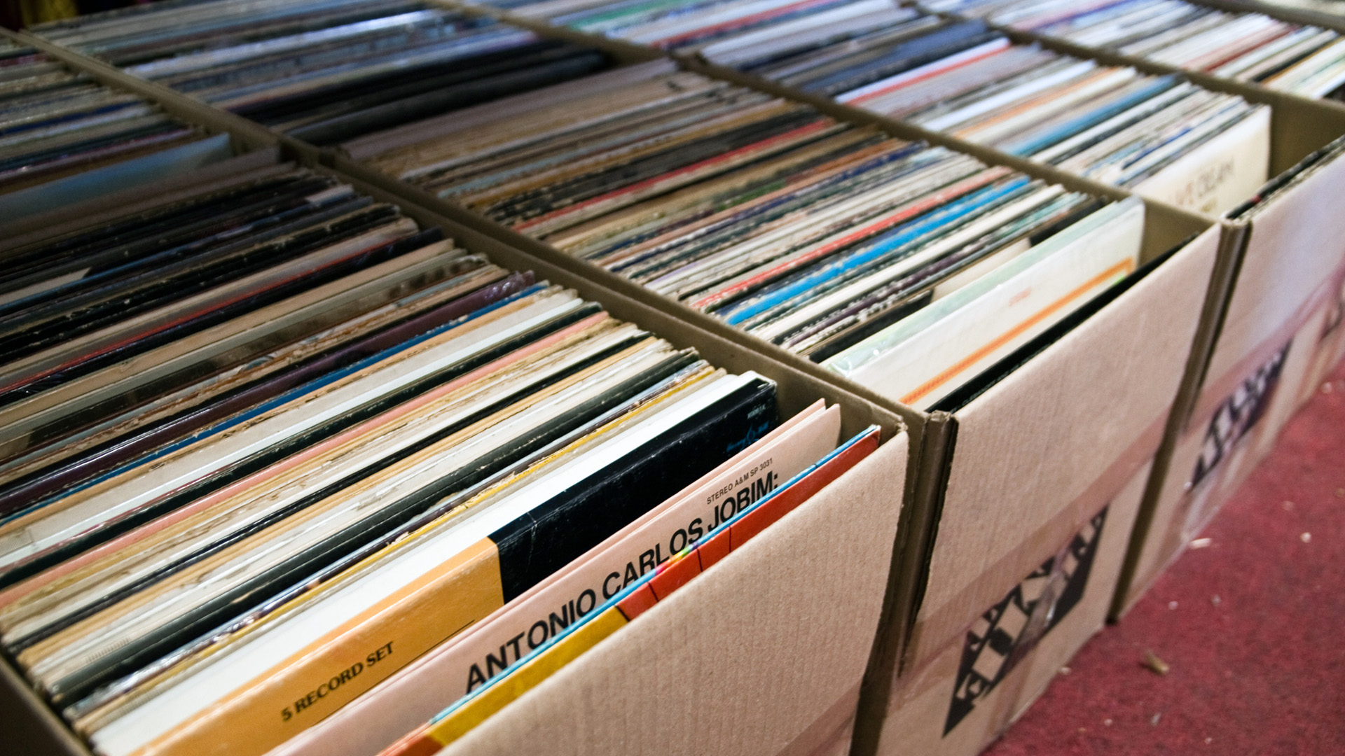 Record Rooter Orin Zebest