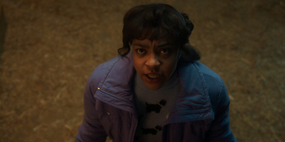 STRANGER THINGS: SEASON 5 STRANGER THINGS: SEASON 5