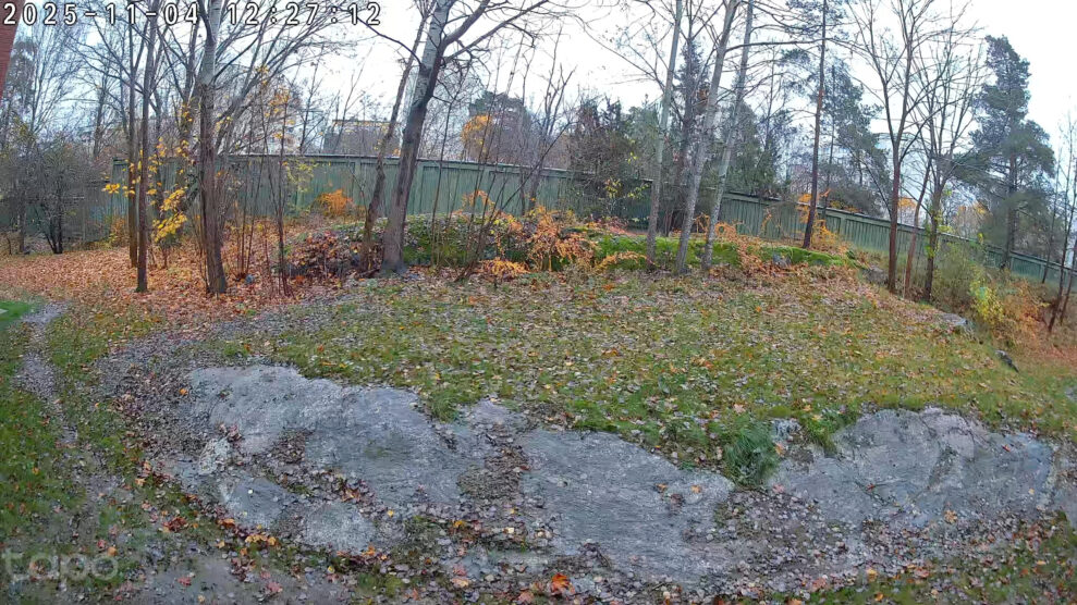 tapo-c460-day-scaled tapo-c460-day-scaled