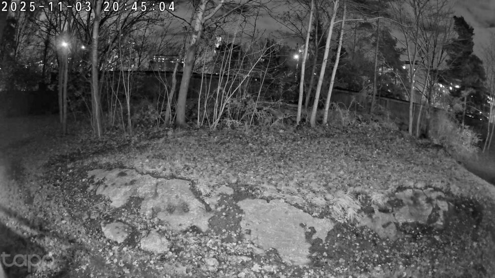 tapo-c460-night-scaled tapo-c460-night-scaled