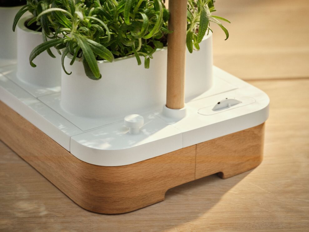 Auk Mini closeup web