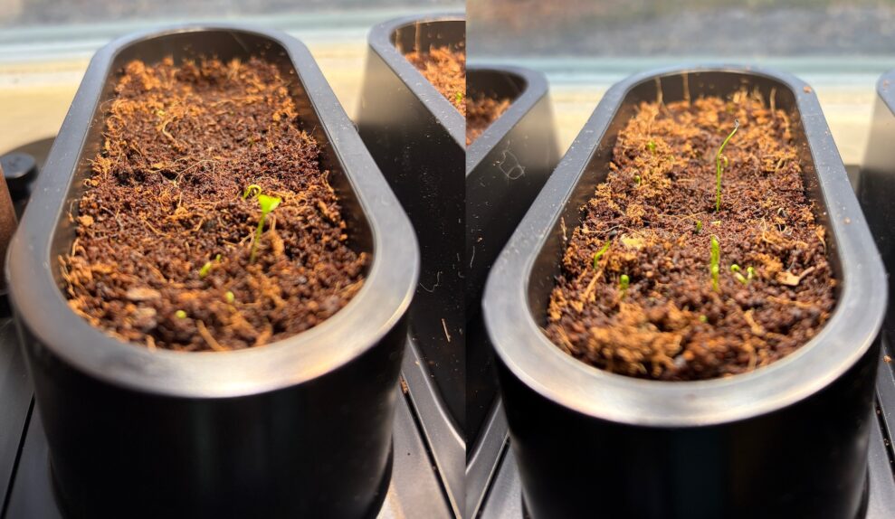 auk-mini-vecka-1-web