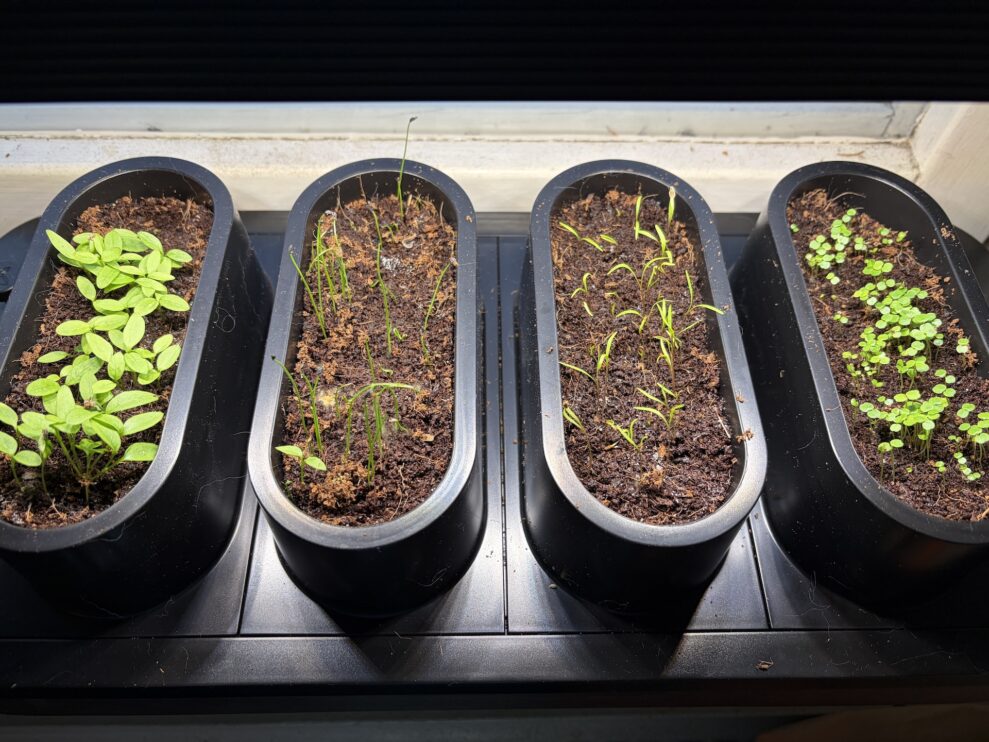 auk-mini-vecka-2-web