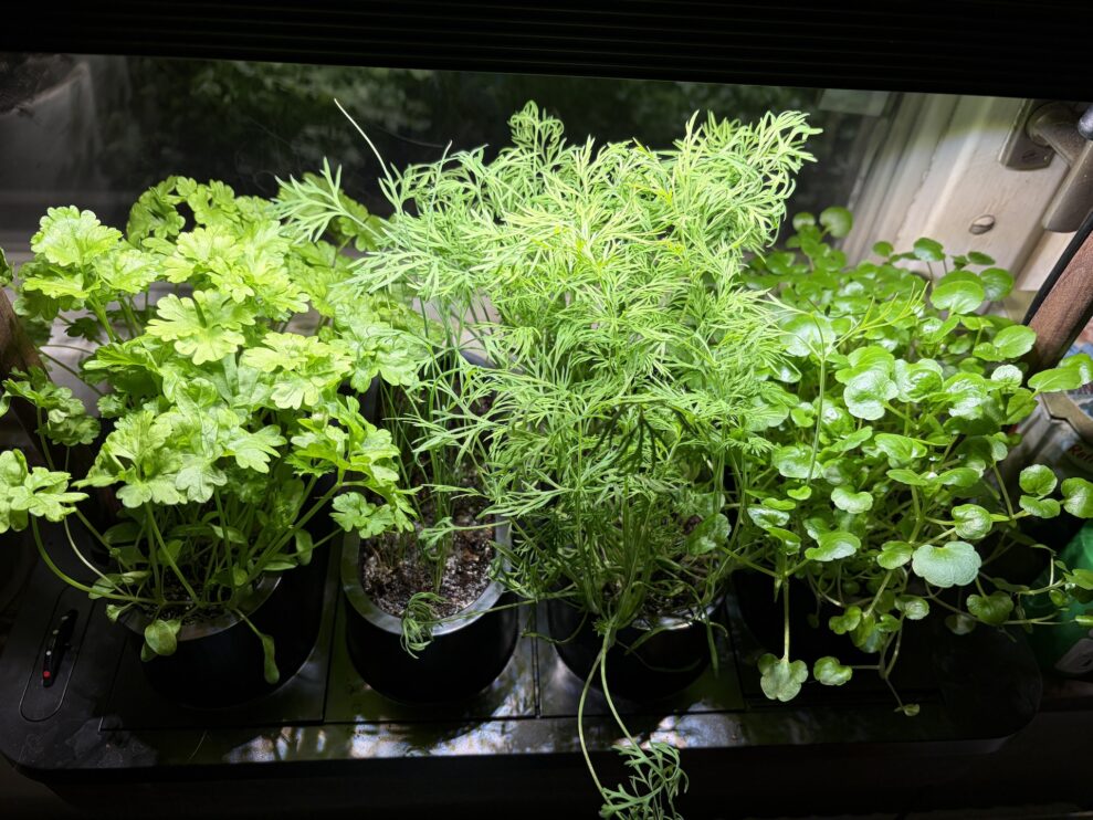 auk-mini-vecka-4-web