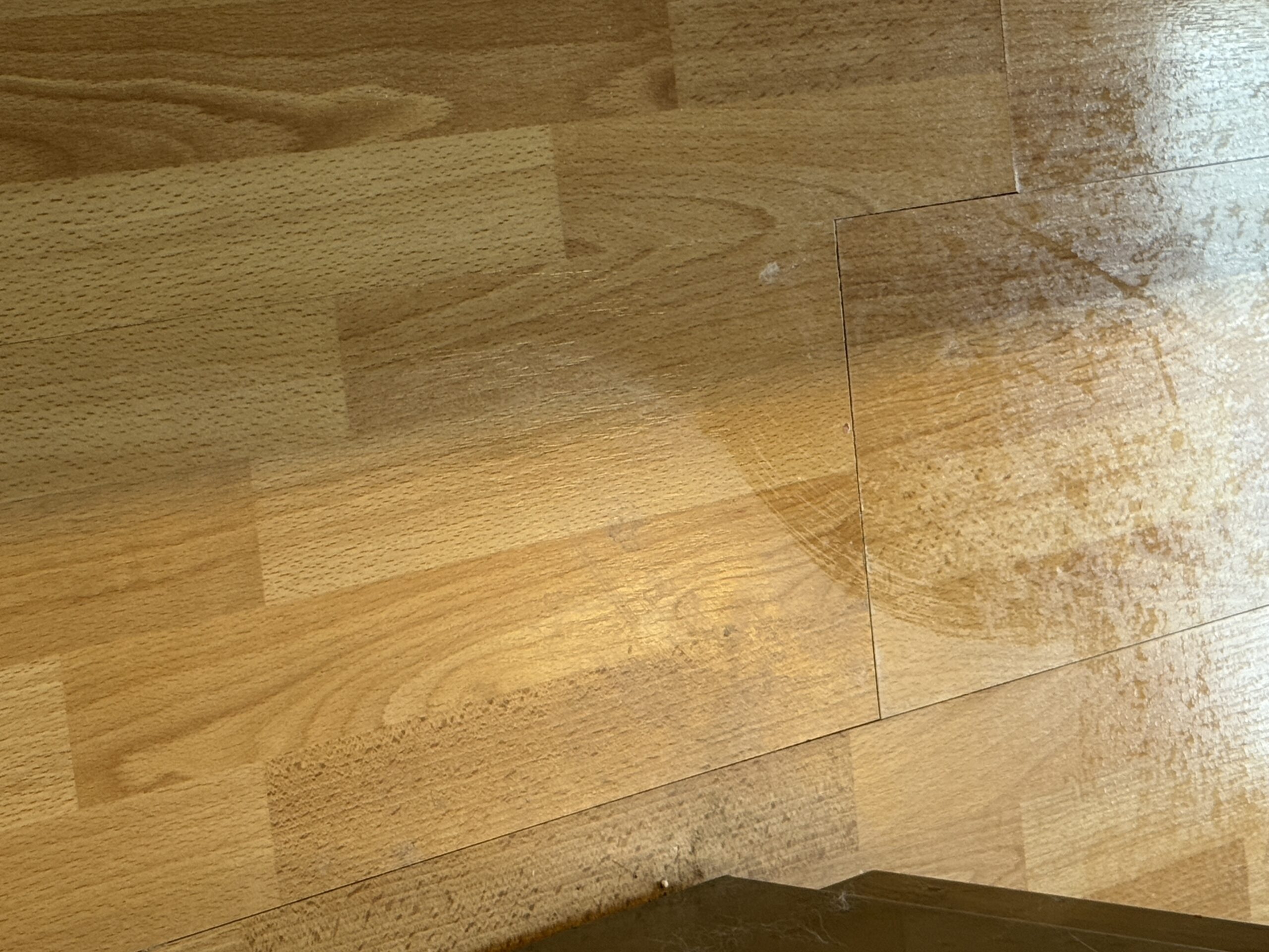 eufy e28 wet web scaled