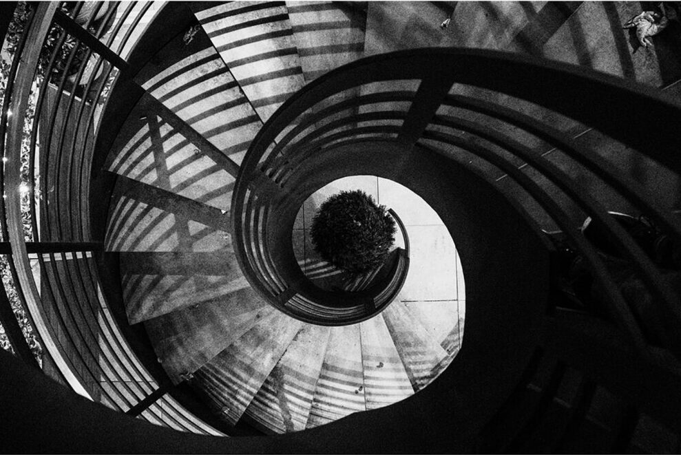 1768409188 IMG 2655407