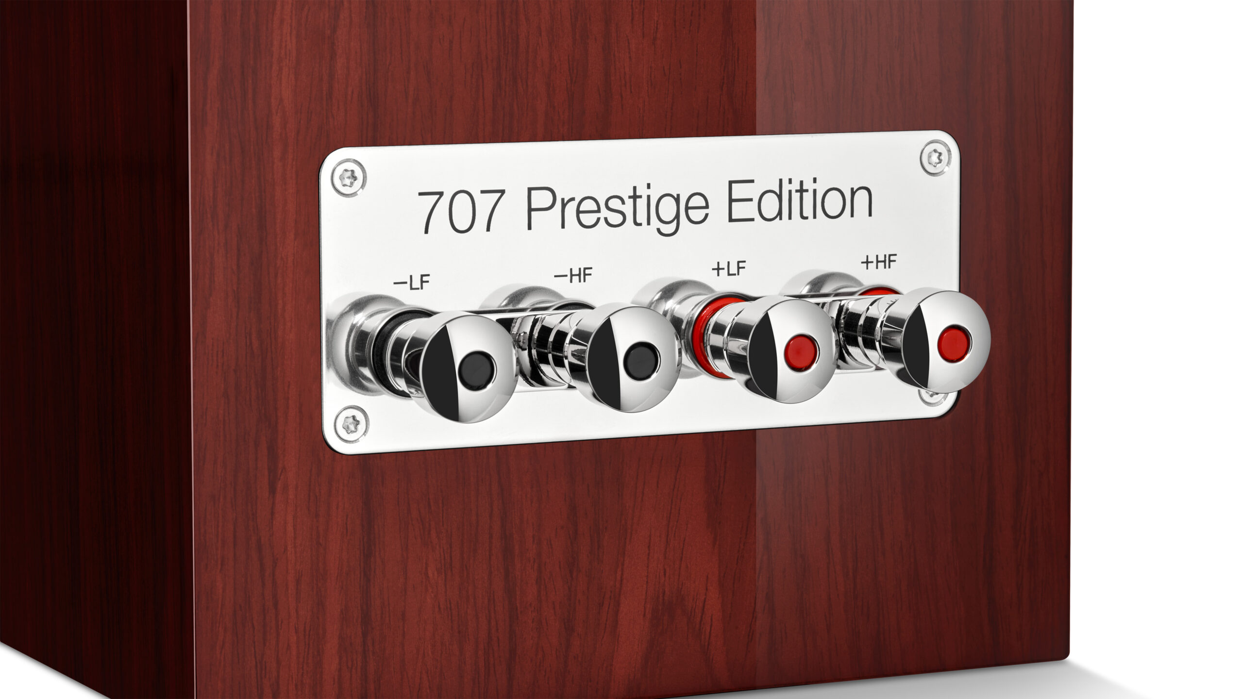 Bowers & Wilkins 707 Prestige Edition: Opgraderet – men ikke som vi håbede 3 BW 707 Prestige Edition Terminal Plate Detail kopi scaled 1