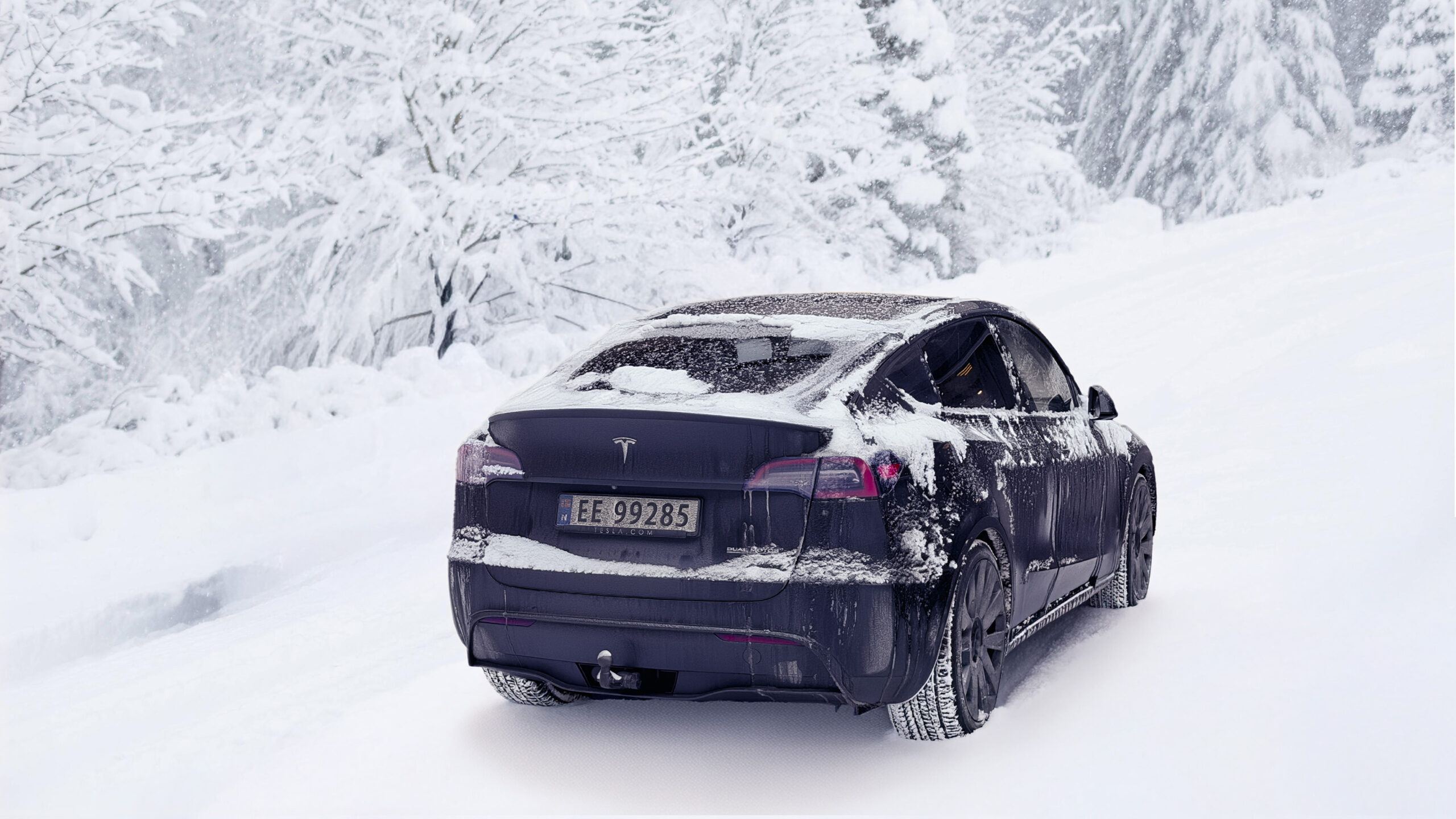 Tesla Model Y Performance elbil