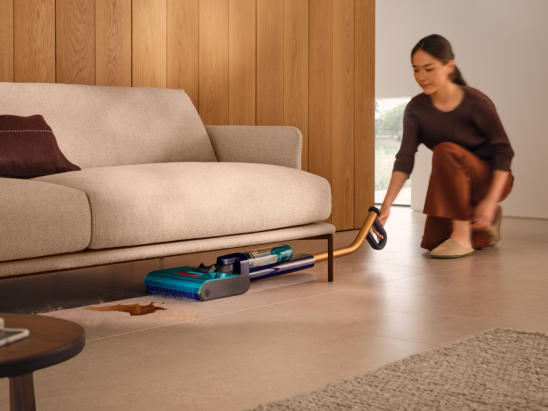 Dyson CleanWashHygiene