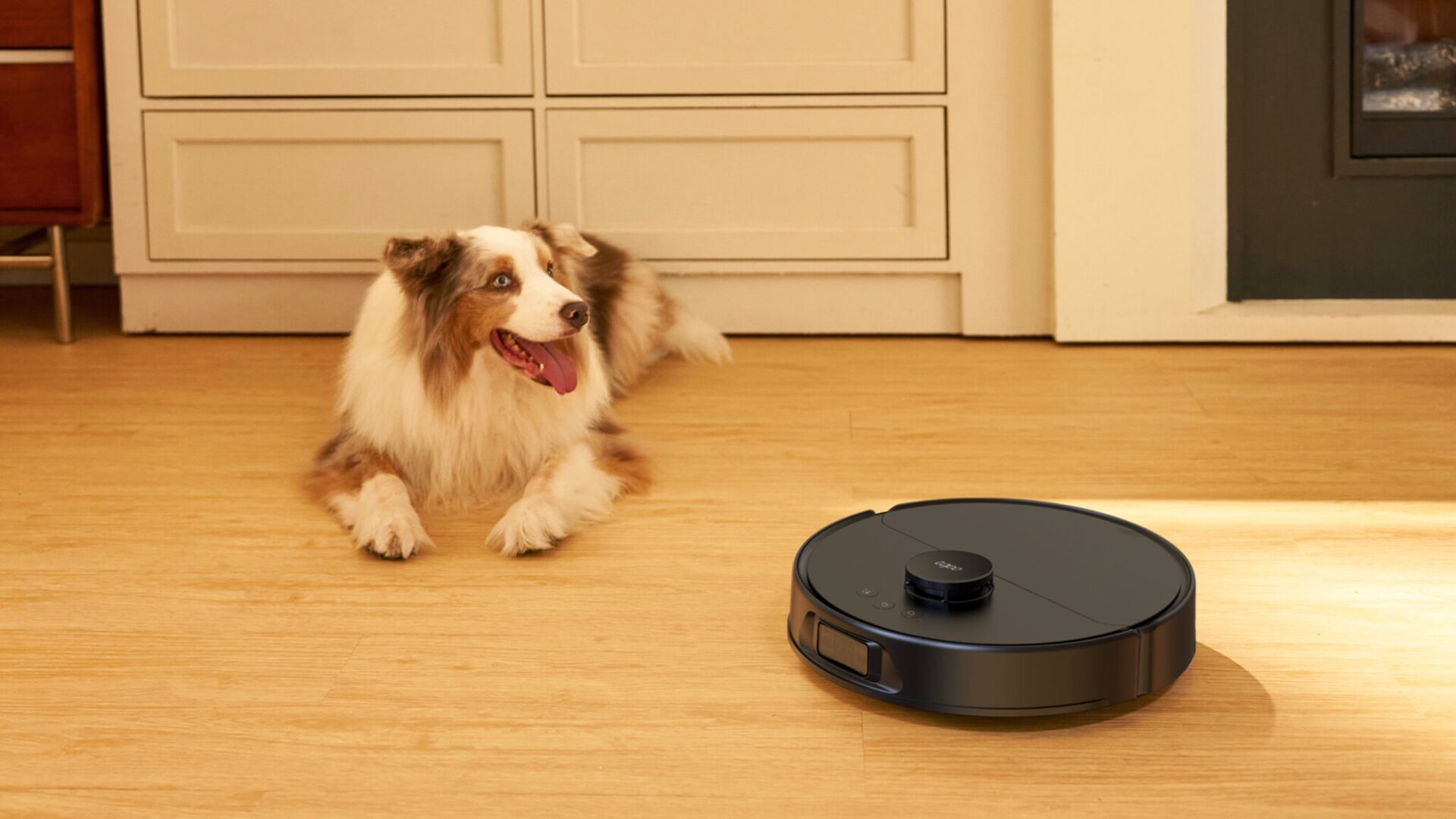 Tapo RV50ProOmni top