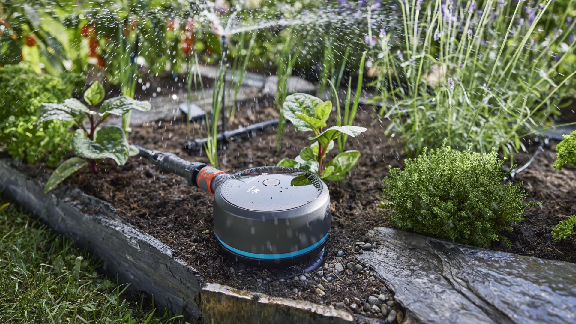 Haven vander sig selv