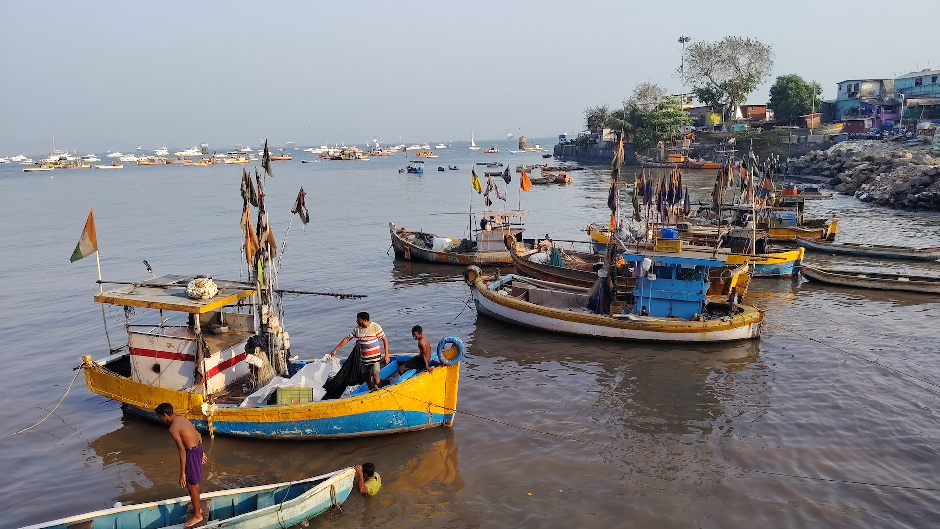 HonorMagic8Lite_galleri3 HonorMagic8Lite_galleri3