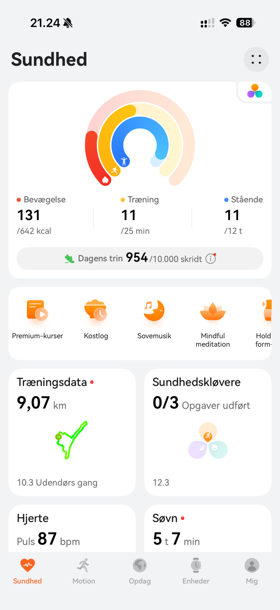 Huawei RunngerGT2 005