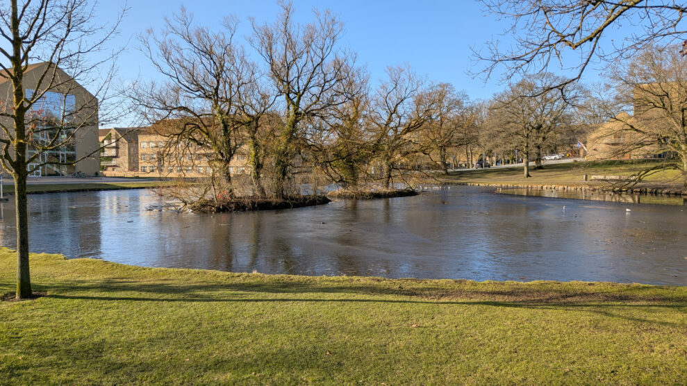 PX10A PXL_20260301_082637738 PX10A PXL_20260301_082637738