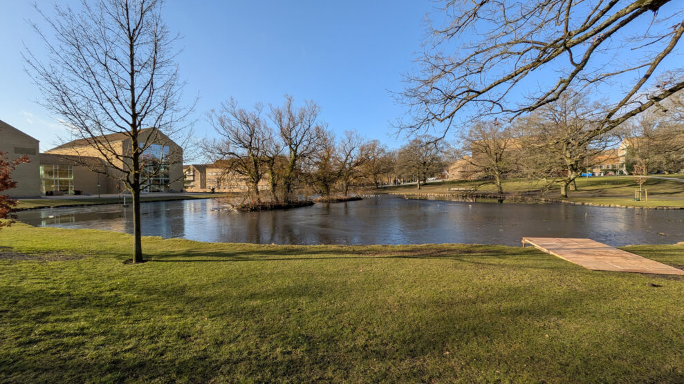 PX10A PXL_20260301_082640713 PX10A PXL_20260301_082640713