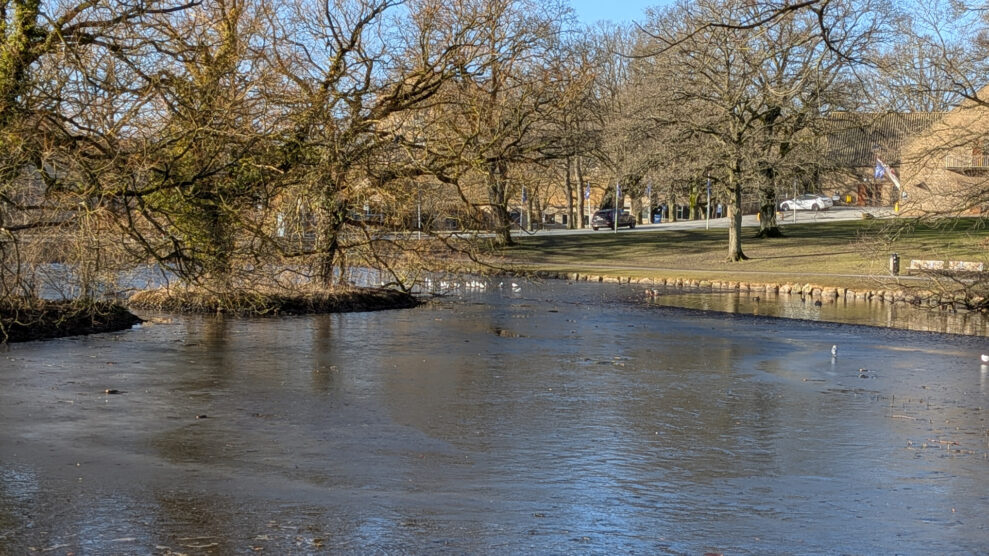 PX10A PXL_20260301_082650260 PX10A PXL_20260301_082650260