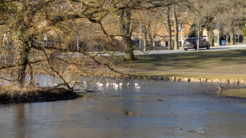 PX10A PXL_20260301_082656278 PX10A PXL_20260301_082656278