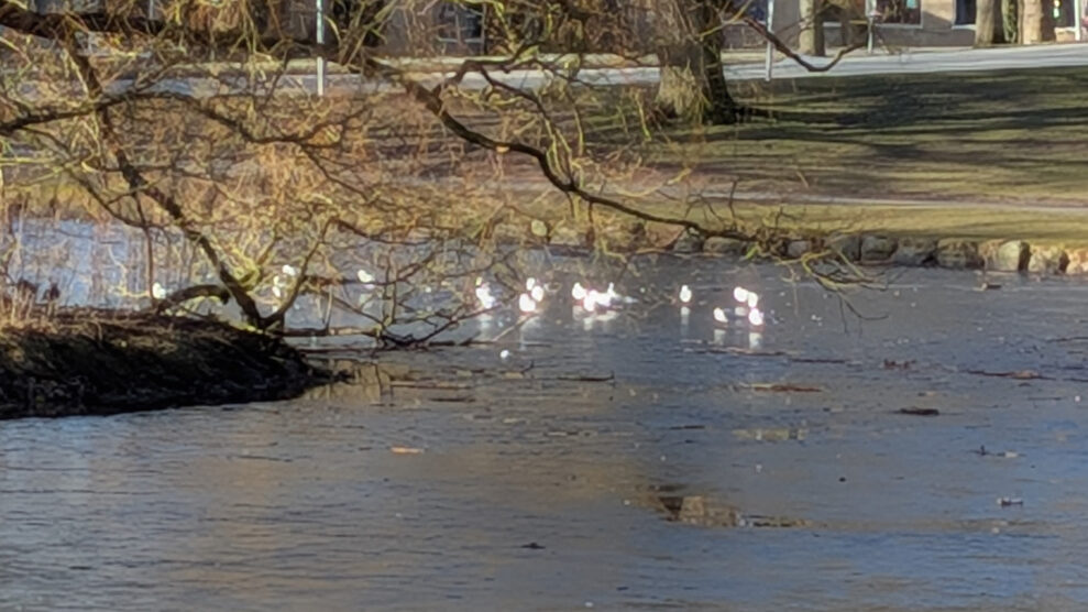 PX10A PXL_20260301_082727465 PX10A PXL_20260301_082727465