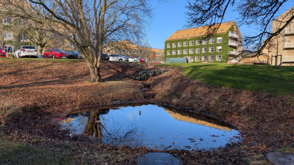 PX10A PXL_20260301_083126589 PX10A PXL_20260301_083126589