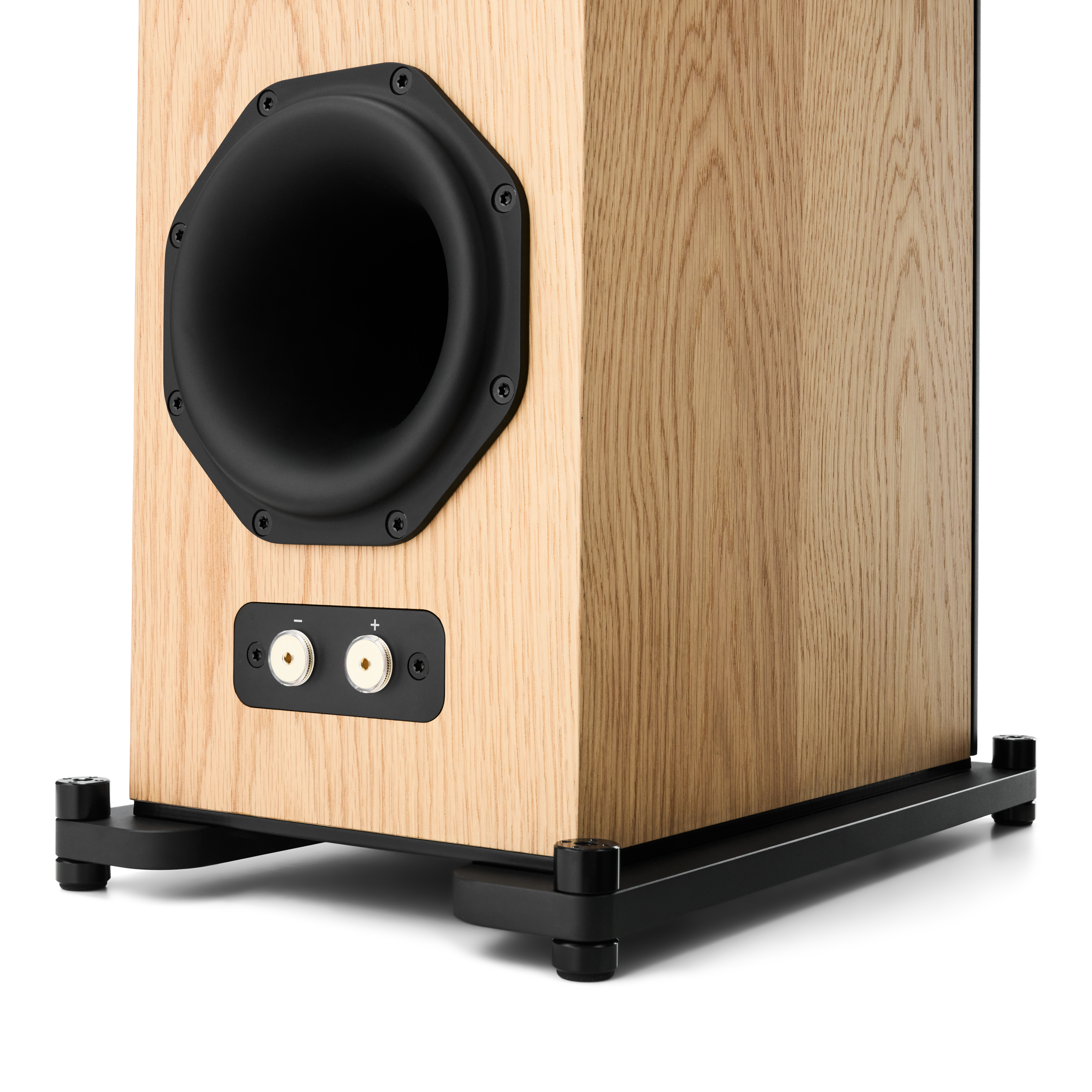 Radiant Acoustics Clarity 66