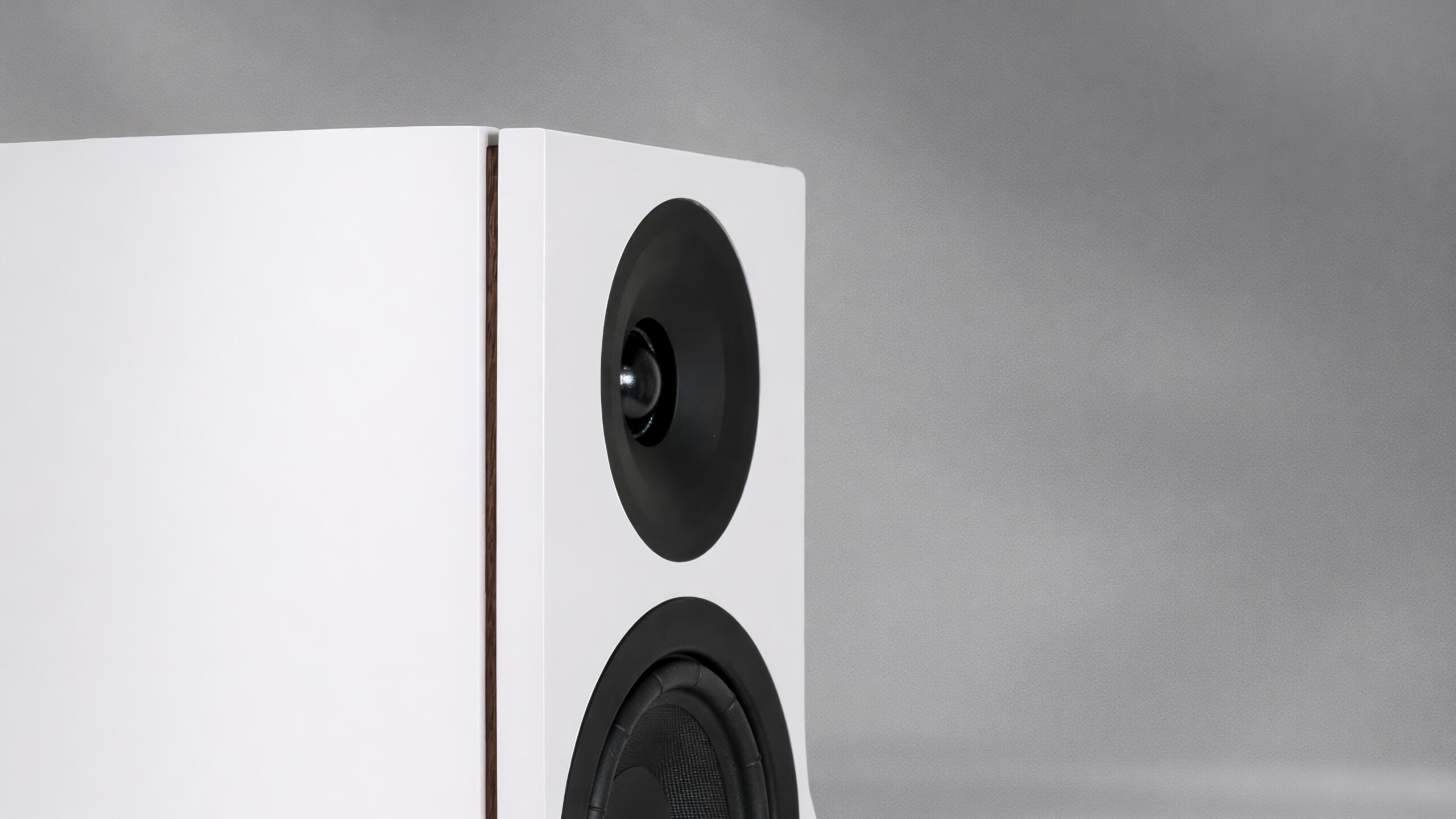 System Audio Silverback 60.2-DS-1024x683