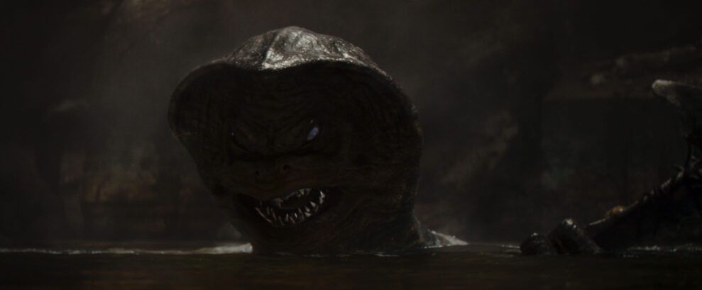 THE MANDALORIAN &amp; GROGU