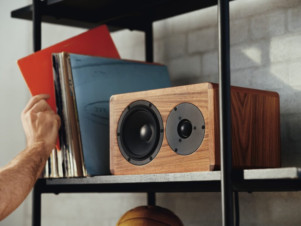 dynaudio legend naturalrosewood ls 15