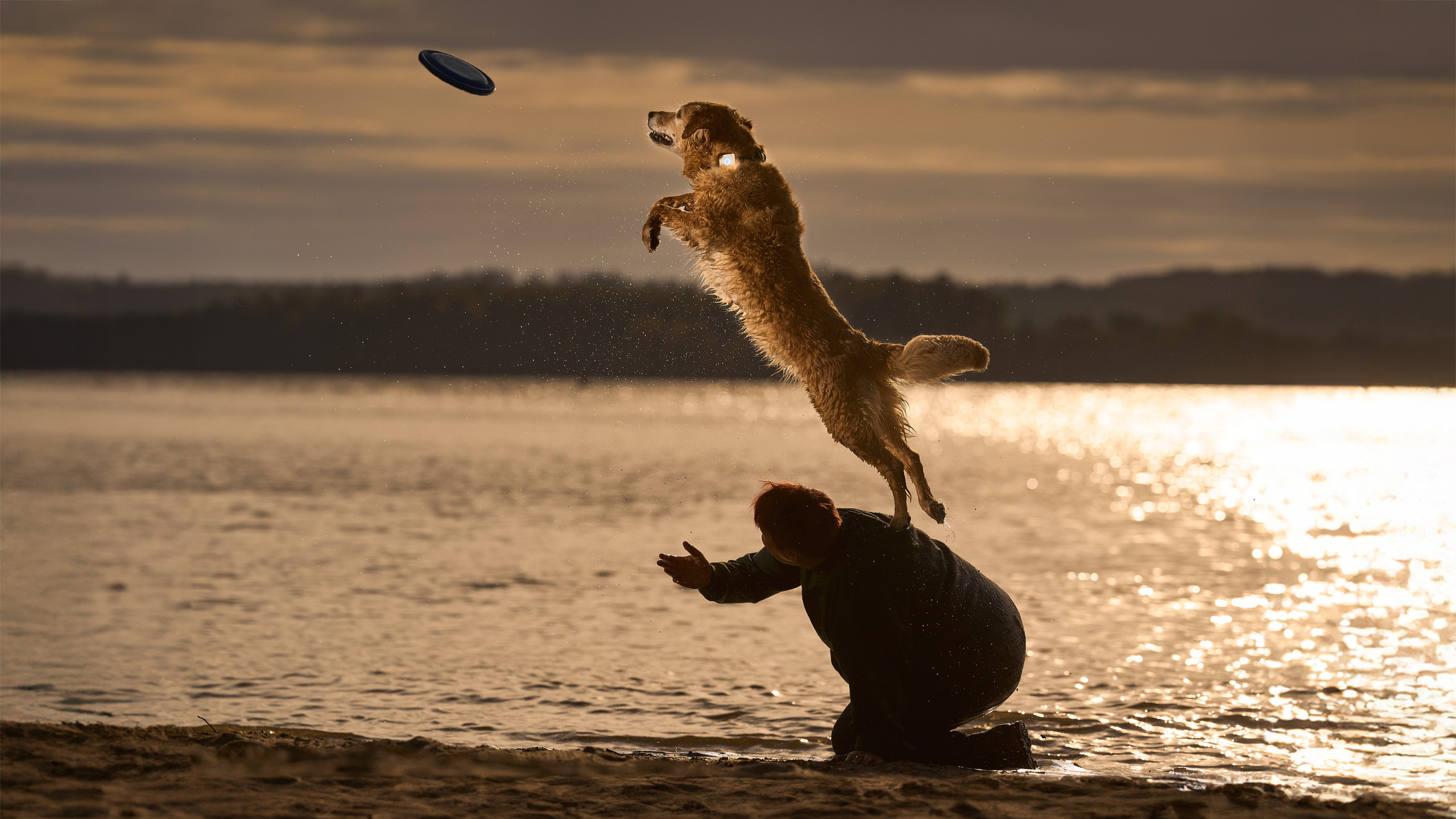 Lildog 2 5 Lildog Marianne DSC9088